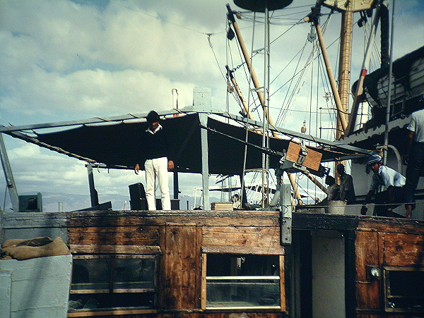 Dhow Charlie 3
