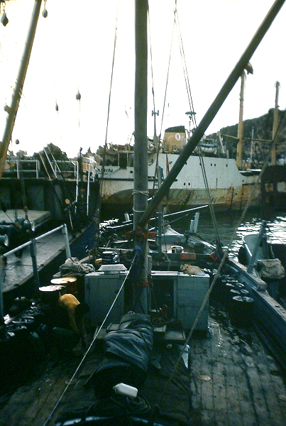 Dhow Charlie 2