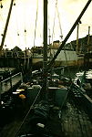 Dhow Charlie 2