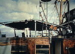 Dhow Charlie 3