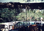 OG Mess Garden and Pool