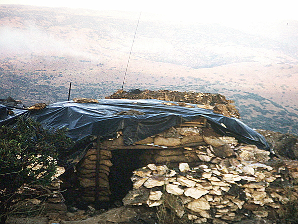 Dana 2 bunker
