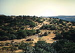 Mortars positions on Hammer Line