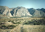 'White Mountain' 