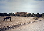 Hizaam Fort 