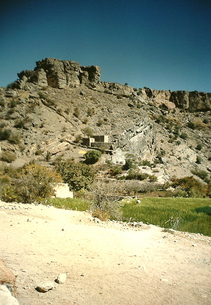 In Al Ayn 