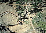 Tawi Attair Well