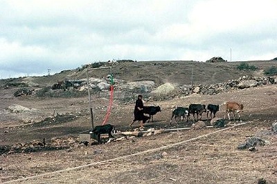 A new well