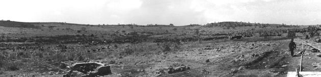 Tawi Panorama
