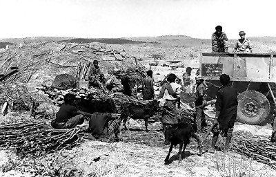Cattle loading