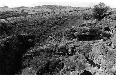 Above the well